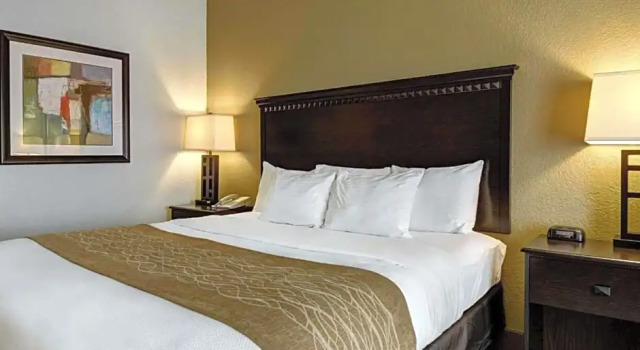 Номер Standard Comfort Inn & Suites Hot Springs Midtown