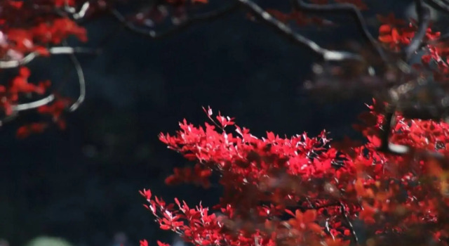 Tora Hotel Rikugien - Vacation STAY 52744v