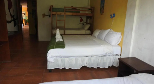 Habitación familiar Estándar Biohostal Mindo Cloud Forest