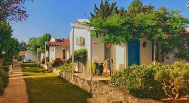 Люкс Teos Ormanci Tatil Koyu