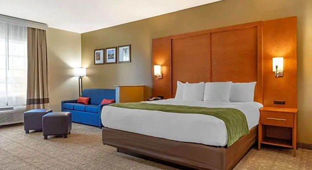 Номер Standard Comfort Inn & Suites Orangeburg