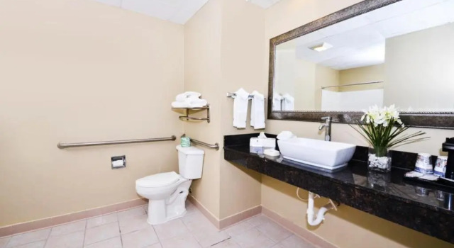 Люкс Best Western Savannah Airport Inn & Suites