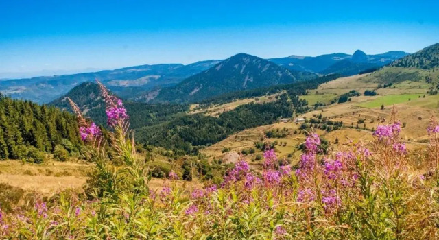 Gite Yssingeaux, 2 pièces, 3 personnes - FR-1-582-34, Prenota Hotel Hotel a Alvernia con parcheggio, Parcheggio