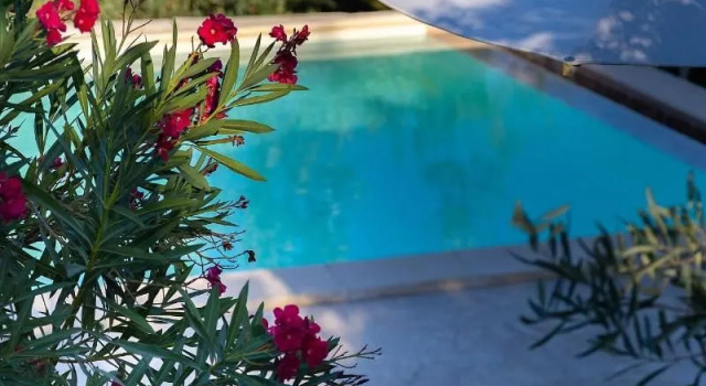Tenuta Olive Alive, Book Vacation Home Hotels in Sicily with a Pool, Swimming Pool