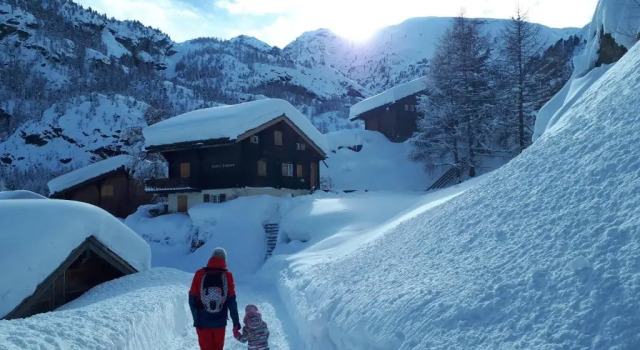 Апартаменты Chalet Samson