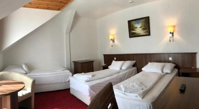 Номер Superior Meggyes Hotel