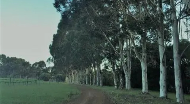 Harmony Forest Lake Side Lodge, Book Hotel Witchcliffe Geographe Bay