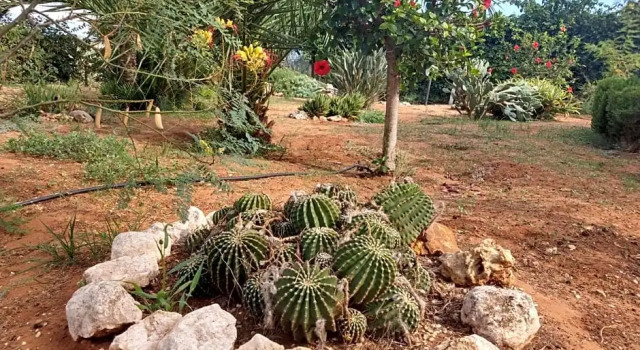 Il gazebo