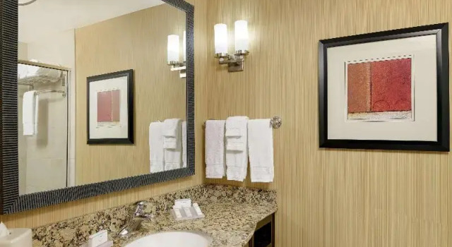 Номер Premium Hilton Garden Inn Fontana
