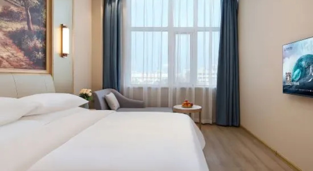 Люкс Deluxe Vienna Hotel Zhengzhou University New Campus Wutong Street Metro Station Store