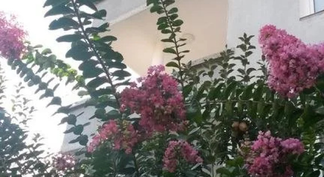 Family Hotel "May", Prenota Hotel Hotel economici a Blagoevgrad