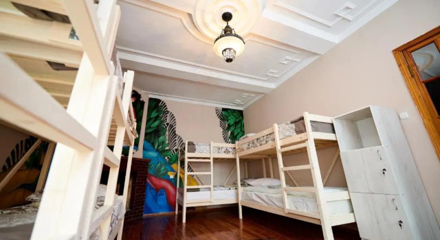 Bett im Wohnheim Wanderlust Hostel