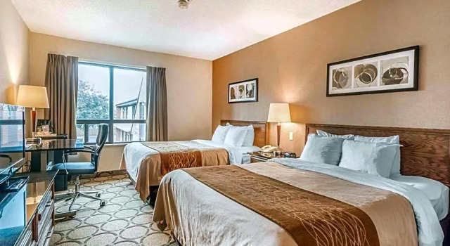 Номер Standard Comfort Inn