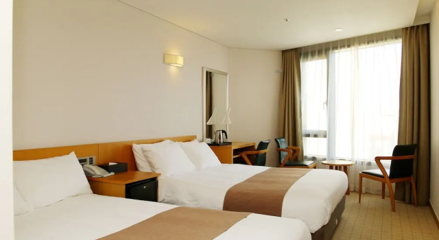 Двухместный номер Deluxe с видом на город Jeju Hotel the M