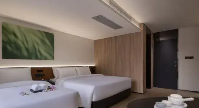 Люкс Suri City Hotel