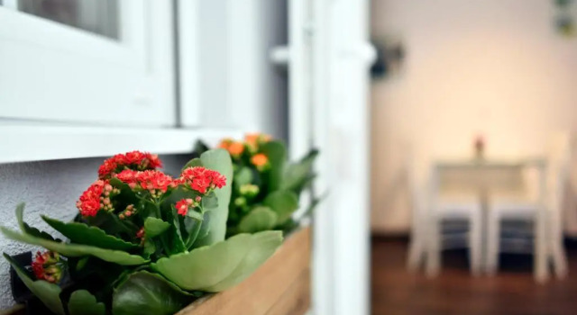 Standard- dobbelt værelse Hostel Temza