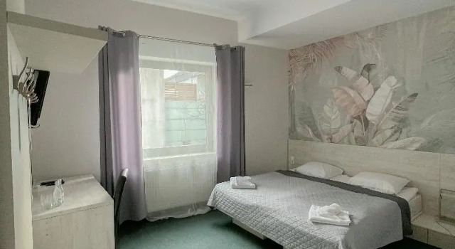 Двухместный номер Classic Hotel Poleski