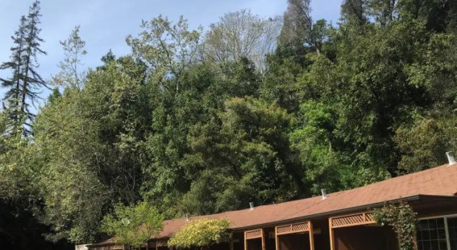 Номер Standard Big Sur River Inn