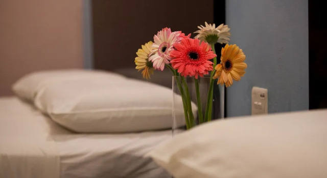Номер Deluxe Hotel Ria