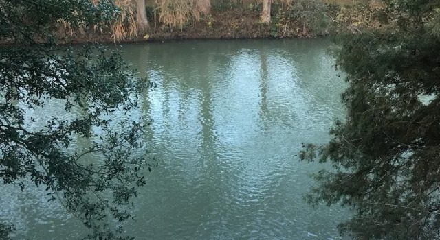 Коттедж с 4 комнатами River Roads Escapes