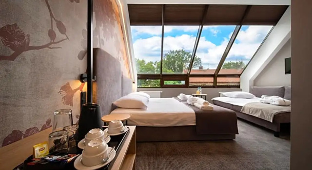 Номер Deluxe Hotel Alexander