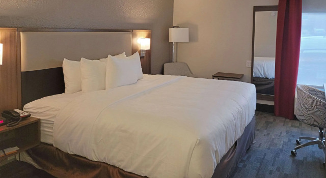 Двухместный номер Standard Comfort Inn & Suites Wyomissing-Reading