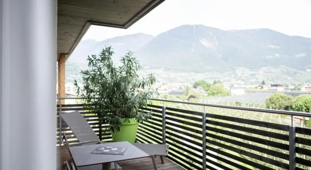 Номер Standard Hotel Pfeiss