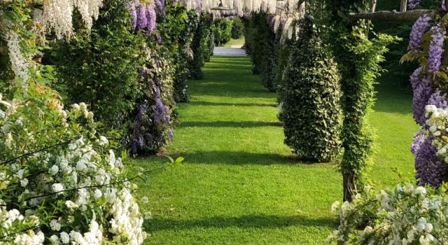 Venicegreen Agriresort