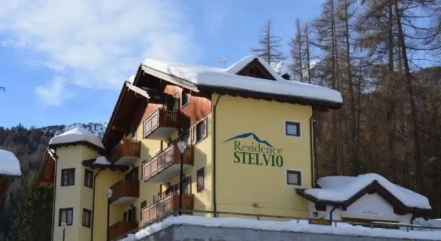 Stelviostay Bilo 6