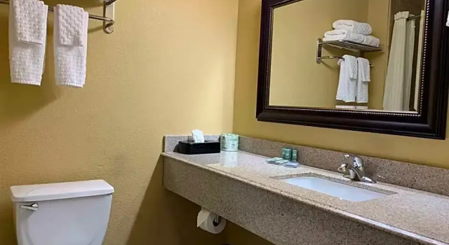 Люкс Standard Comfort Inn Saint Paul East