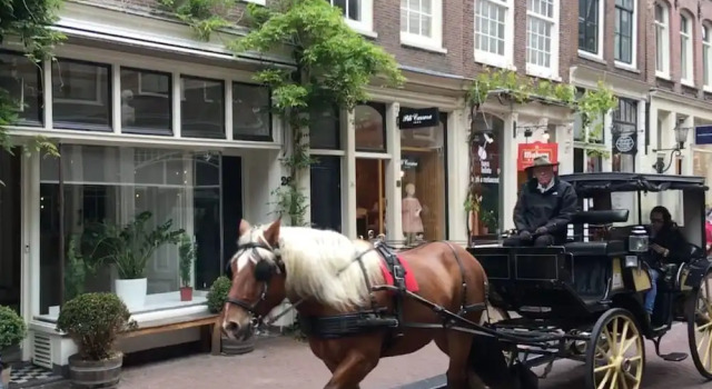 Номер Deluxe Amsterdam Barangay