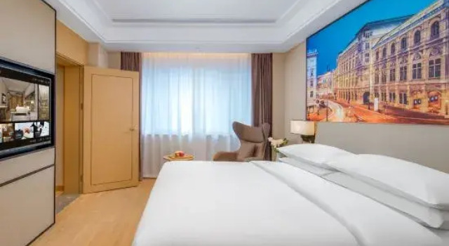 Люкс Deluxe Vienna International Hotel - Hangzhou Wulin Square Branch