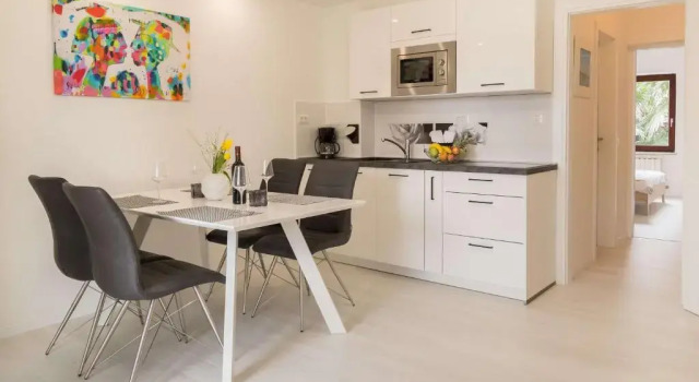 Апартаменты c 1 комнатой Apartment Motovunska 39