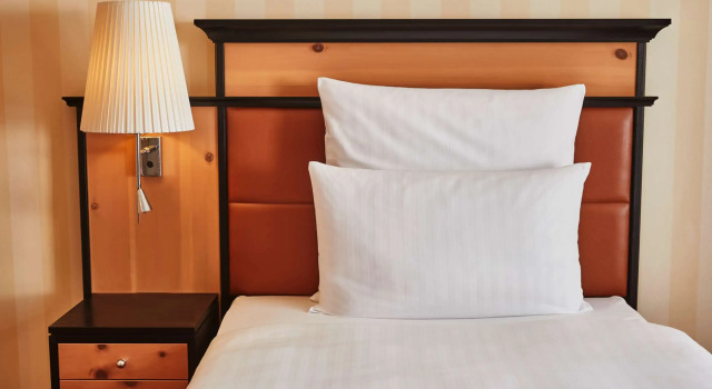 Двухместный номер Superior Steigenberger Icon Grandhotel Belvédère