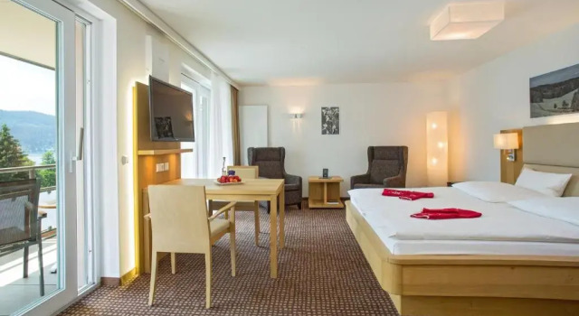 Одноместный номер Superior BRUGGERS Hotelpark am See