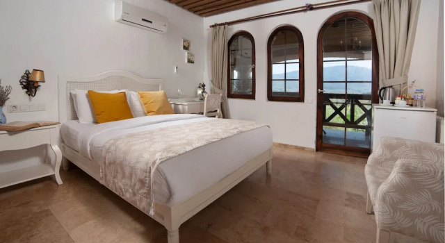 Номер Economy с балконом Vinifera Vineyards Hotel