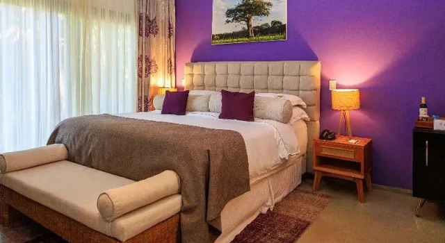 Люкс Standard Campo Bahia Hotel Villas Spa