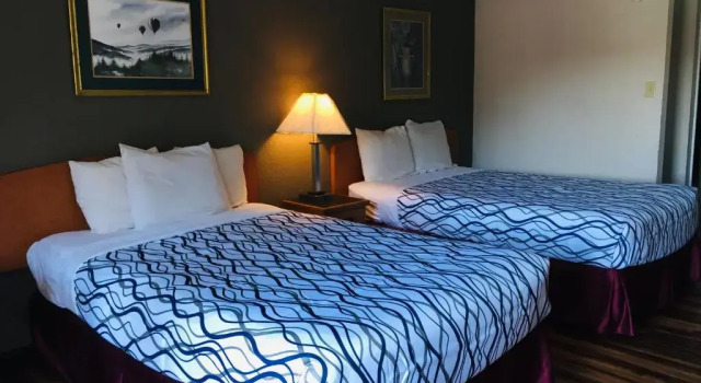 Двухместный номер Standard Bear Mount Inn & Suites