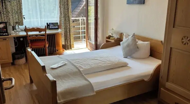 Одноместный номер Standard Hotel Restaurant Adler Stube