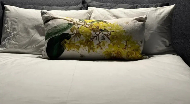 Acoustic Guest House, Boek Pension Pretoria 