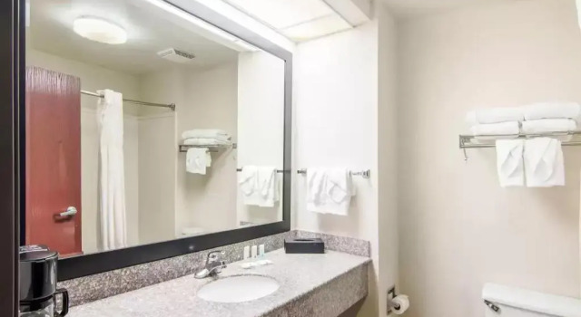 Номер Standard Quality Inn near University of Mobile