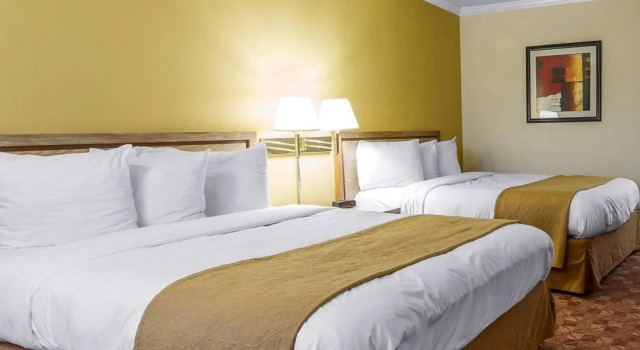 Четырёхместный номер Standard Quality Inn Ukiah