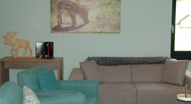 Апартаменты Comfort Brabander Alm