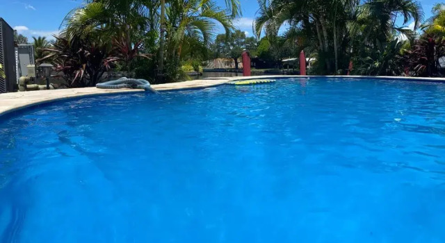 OASIS ON THE RIVER 3BR 2 5 BA - Pool, Забронировать Отель Отели Окленд-Парк с бассейном, Бассейн