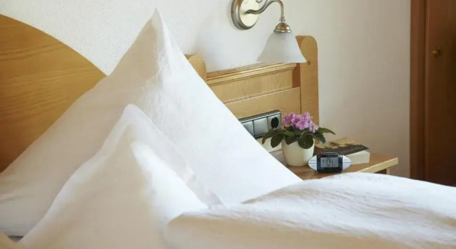 Номер Standard Hotel garni Oberdorfer Stuben