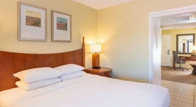Люкс c 1 комнатой Hilton Phoenix Resort at the Peak