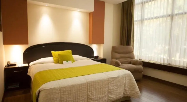 Одноместный номер Executive Hotel Ramada