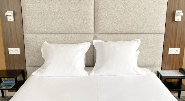 Трёхместный семейный номер Standard Hotel des Eaux