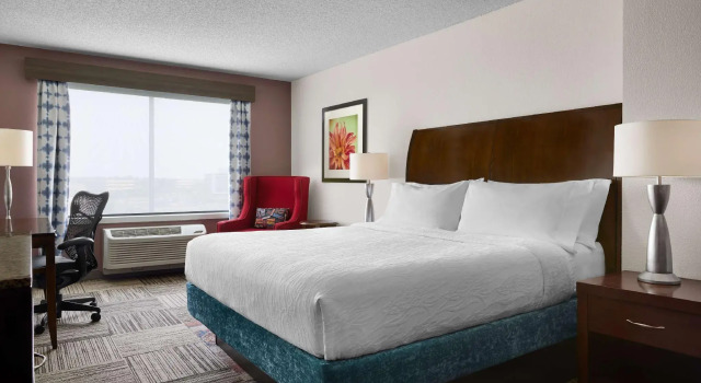 Двухместный номер Standard Hilton Garden Inn Denver South Park Meadows Area