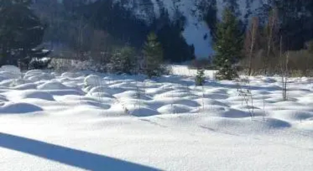 Wachhof, Prenota Hotel Maurach Achensee